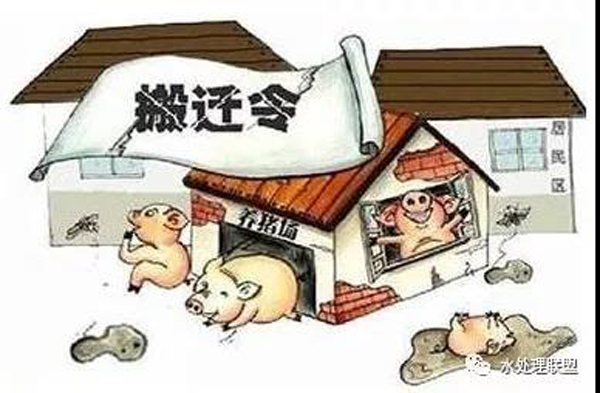 養(yǎng)殖場(chǎng)收到環(huán)保整改通知書該怎么辦？關(guān)于畜牧養(yǎng)殖的環(huán)保法律